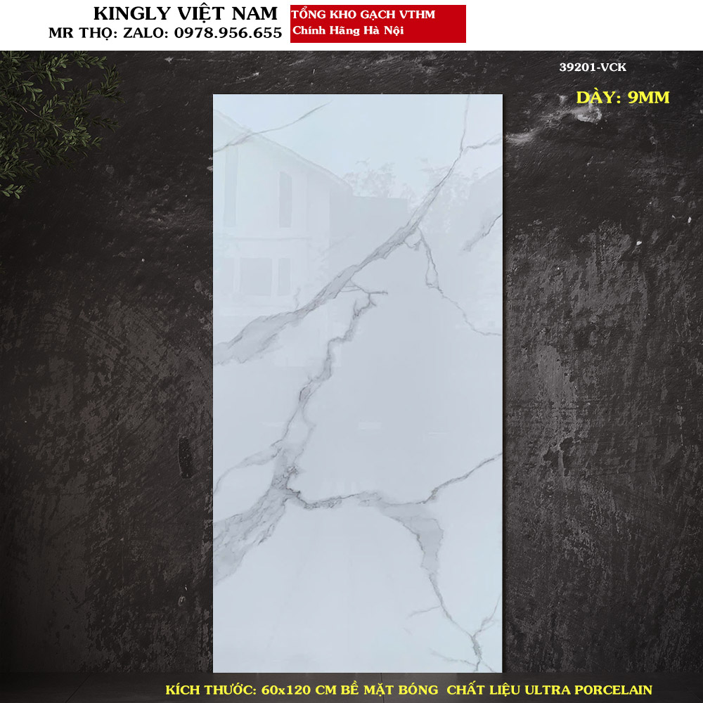 Gạch VITTO 60X120 CM 39201 Loại A1